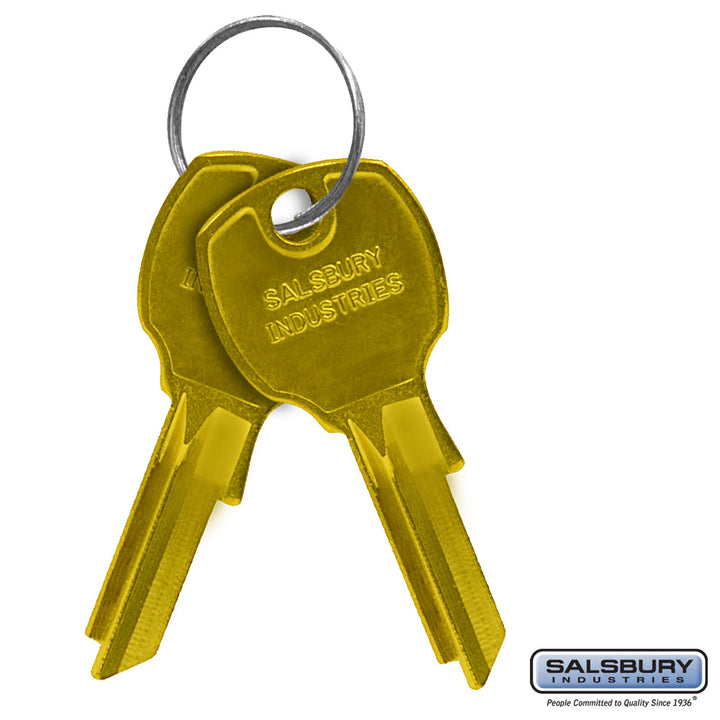 Key Blanks for Standard Locks of Vertical Mailboxes - Box of 50