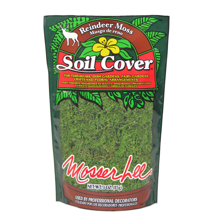Mosser Lee 3 oz. Reindeer Moss in Dark Green - Super Arbor