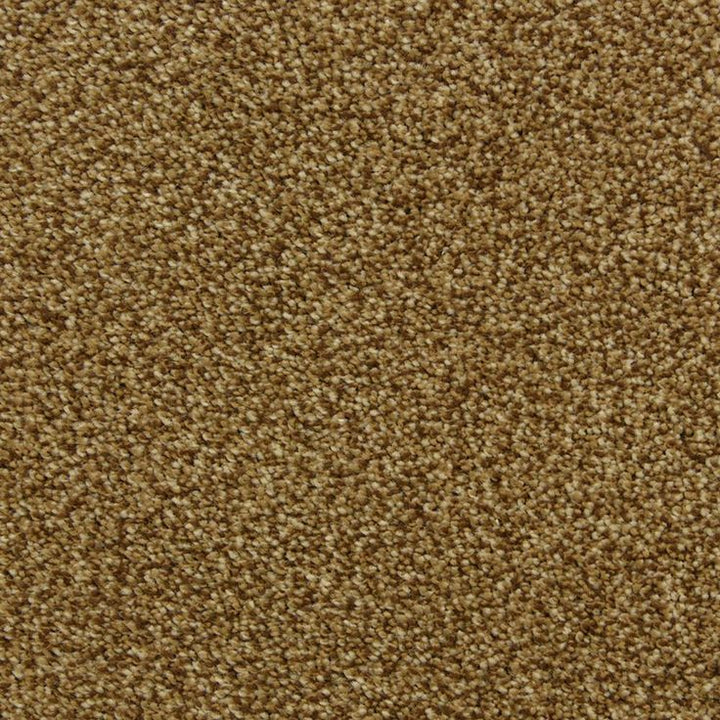 STAINMASTER PetProtect Hypnotized Brownstone Textured Carpet Sample (Interior)
