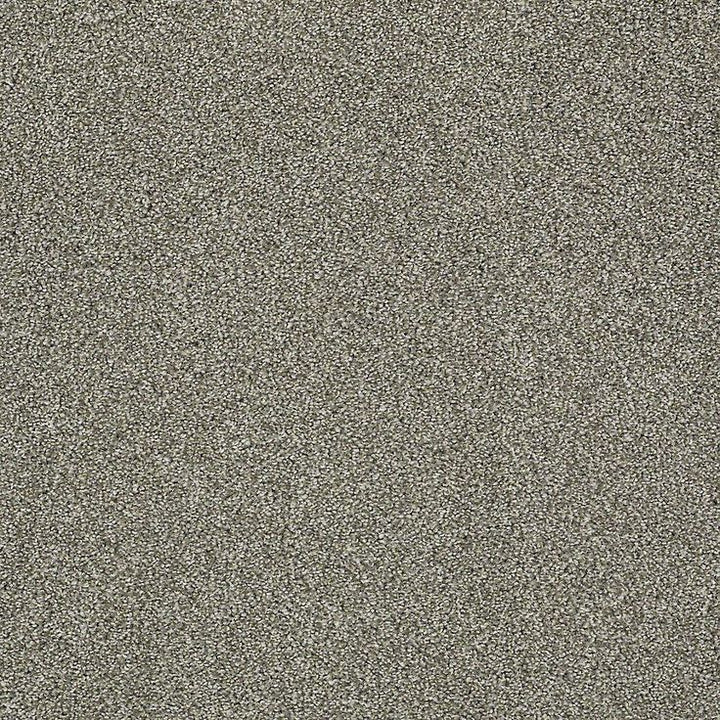 STAINMASTER PetProtect Baxter II Bentley Textured Carpet (Indoor)