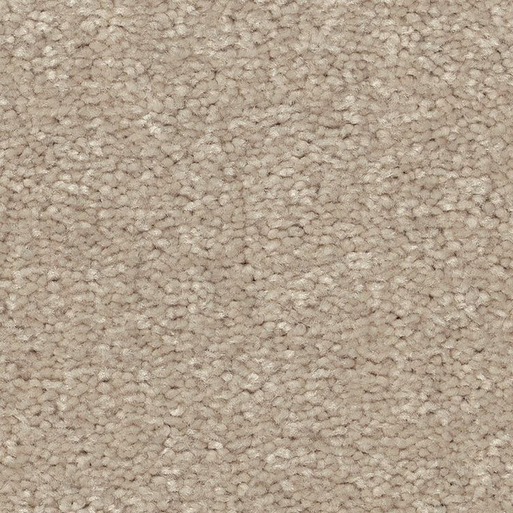 STAINMASTER Essentials Blue Diamonds II 12-ft Dreamy Textured Carpet Sample (Interior)