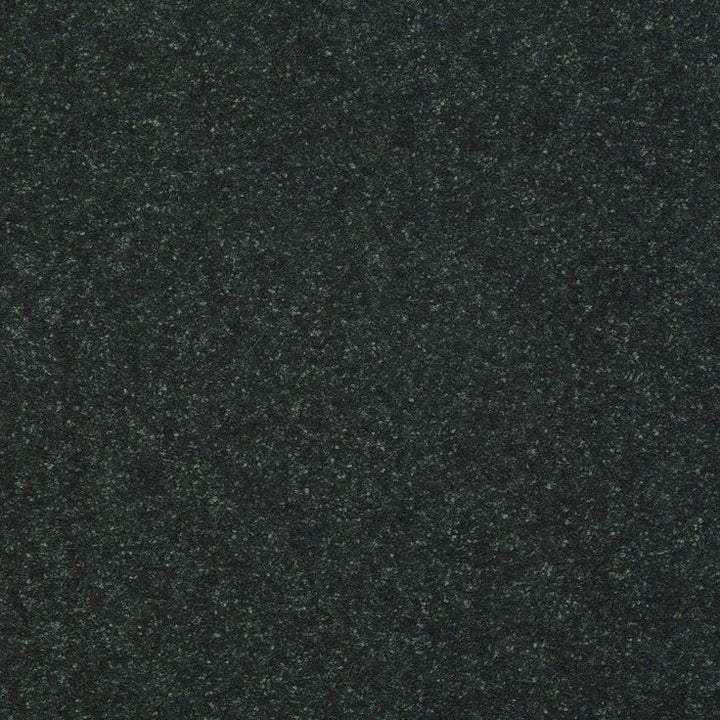 STAINMASTER Essentials Intuition II 12-ft Charcoal Textured Carpet Sample (Interior)