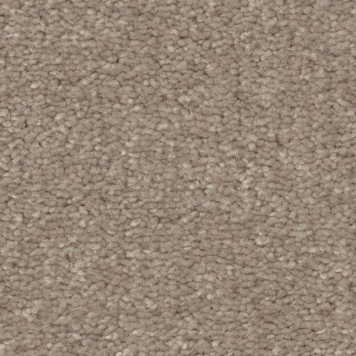 STAINMASTER Essentials Blue Diamonds III 12-ft Minimalist Textured Carpet Sample (Interior)