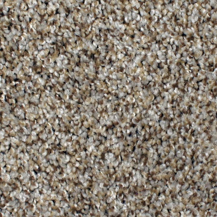 STAINMASTER PetProtect Concord Mystical Charm Textured Indoor Carpet, 12-ft Roll Width, 42-oz Nylon