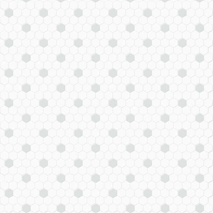 Satori Hudson Brilliant White and Gray 10-in x 12-in Matte Porcelain Hexagon Mosaic Floor and Wall Tile (0.82-sq. ft/ Piece)