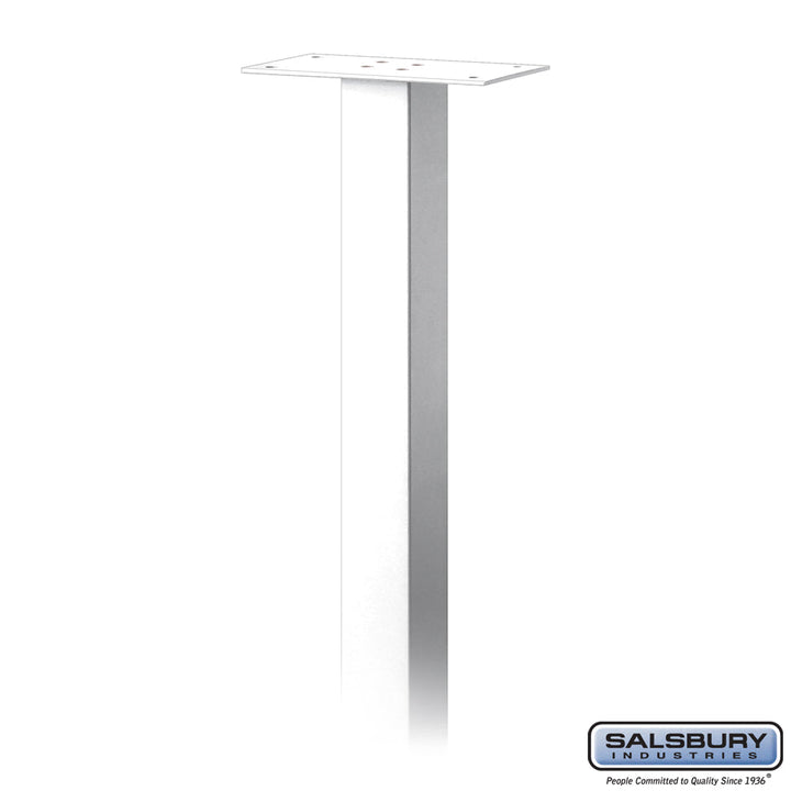 Standard Pedestal - In-Ground Mounted for Roadside Mailboxes, Mail Chests, and Package Drops