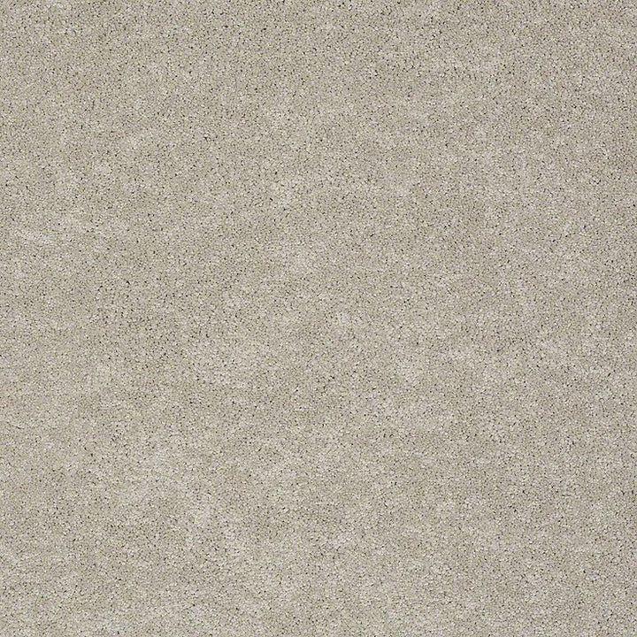 STAINMASTER PetProtect Baxter II Harley Textured Carpet (Indoor)