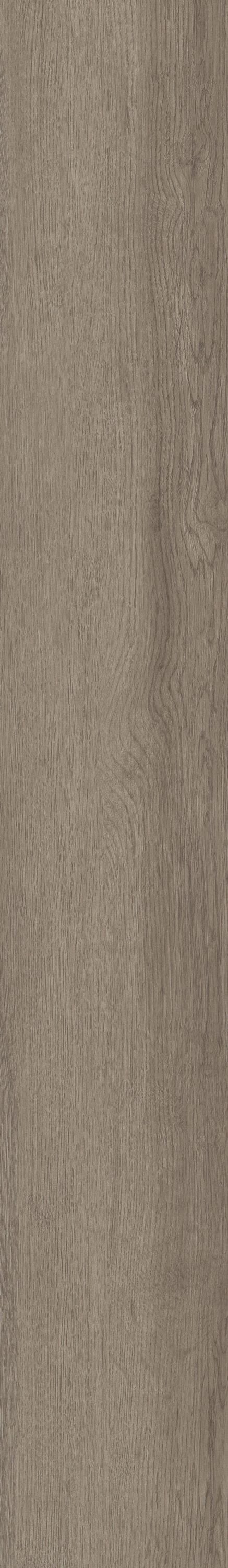 Shaw Boundless 8 Coastline Gray 8-mil x 7-in W x 48-in L Waterproof Glue Down Luxury Vinyl Plank Flooring (34.98-sq ft/ Carton)