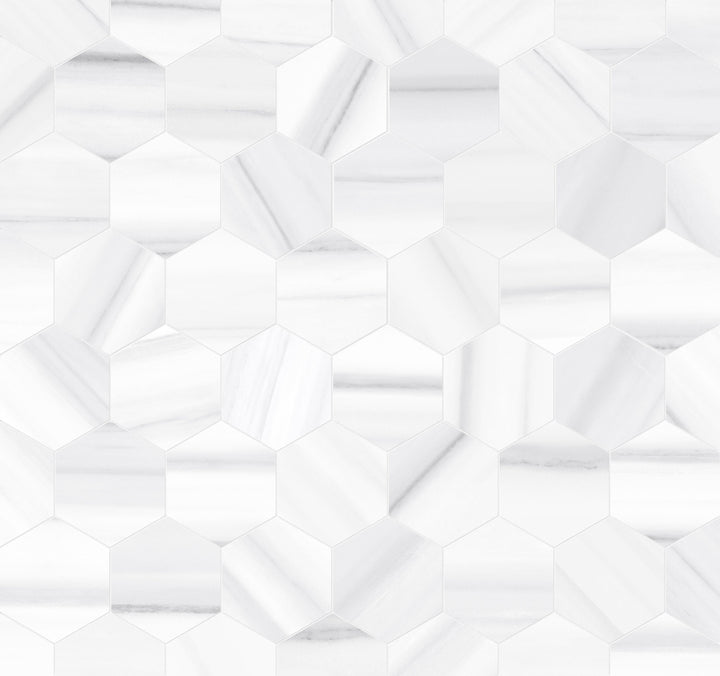 Satori Zebrino Ash 12-in x 12-in Polished Porcelain Marble Look Hexagon Mosaic Floor and Wall Tile (0.97-sq. ft/ Piece)