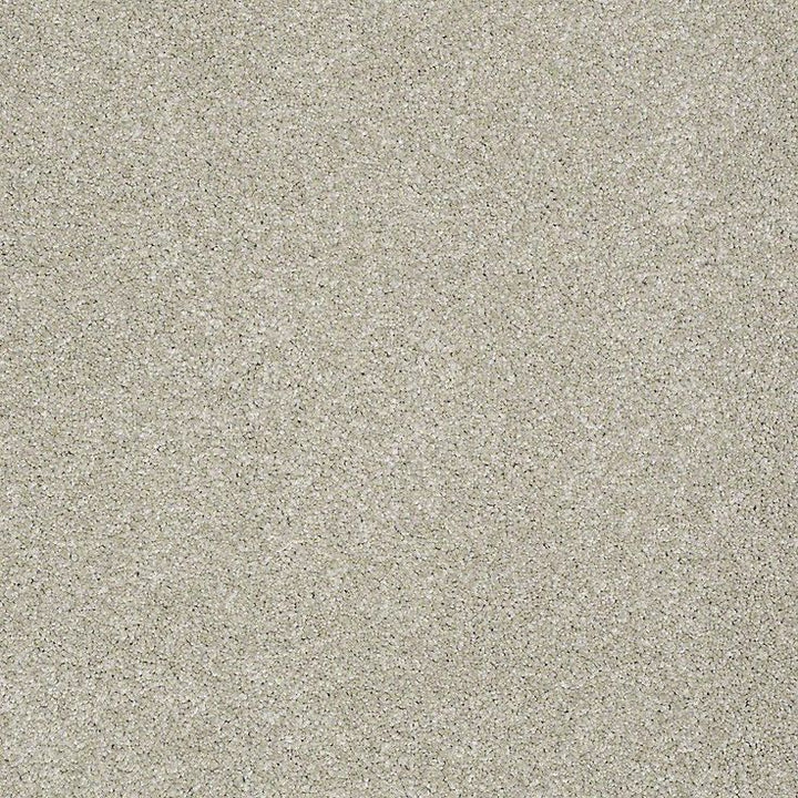 STAINMASTER PetProtect Baxter III Marmaduke Textured Carpet (Indoor)