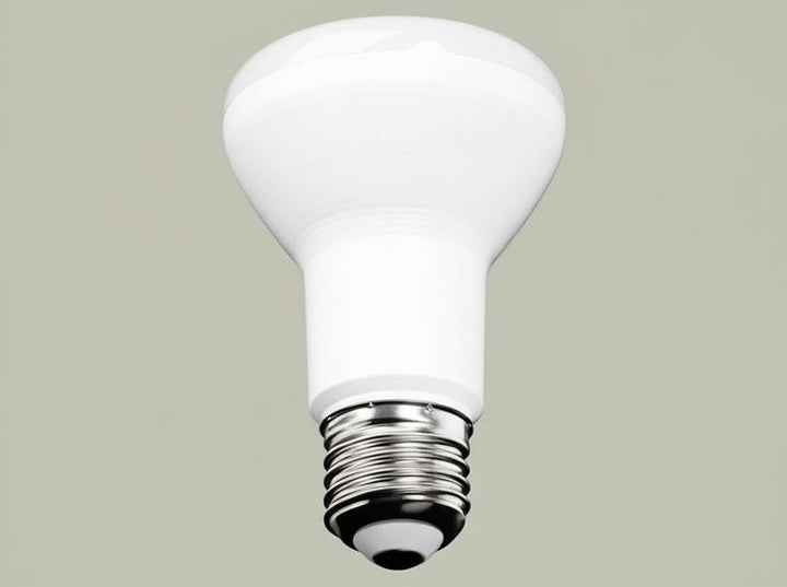 EcoSmart 75-Watt Equivalent BR20 Dimmable ENERGY STAR LED Light Bulb Bright White (12-Pack)