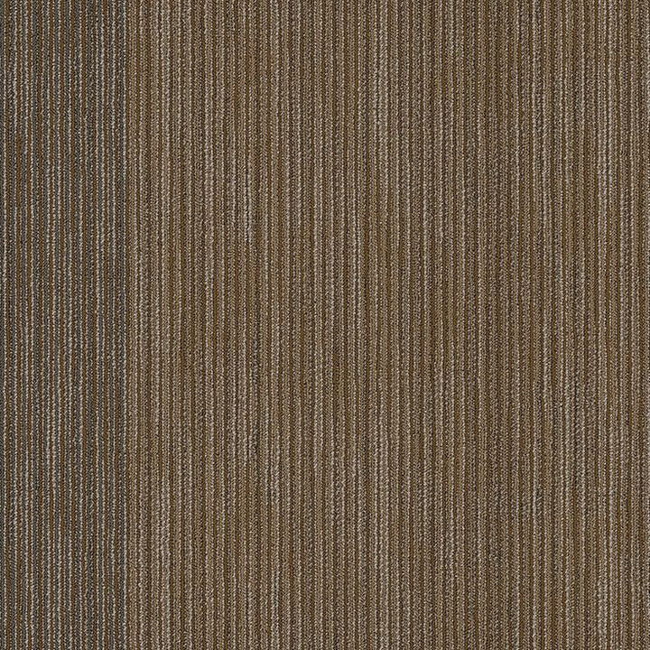 Shaw All Business 24-in x 24-in Front-page Textured Full Spread Adhesive Carpet Tile (79.99-sq ft)