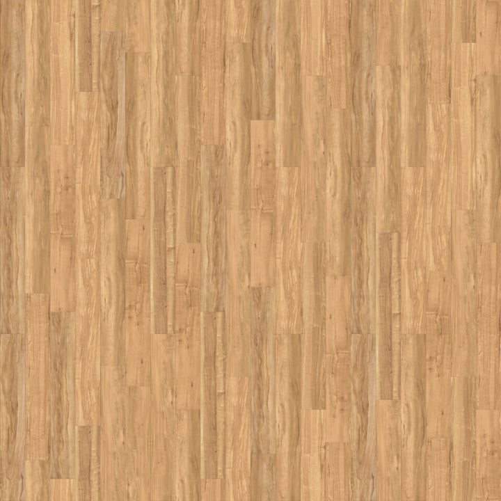 CALI (Sample) Vinyl Pro Classic Blonde Ale 20-mil x 7.13-in Waterproof Luxury Vinyl Plank