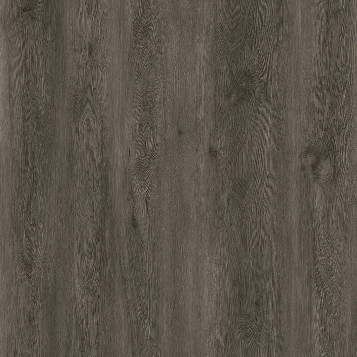 Lucida USA Gluecore Ash Grey Gray 22-mil x 7-3/32-in W x 48-in L Waterproof Glue Down Luxury Vinyl Plank Flooring (40-sq ft/ Carton)