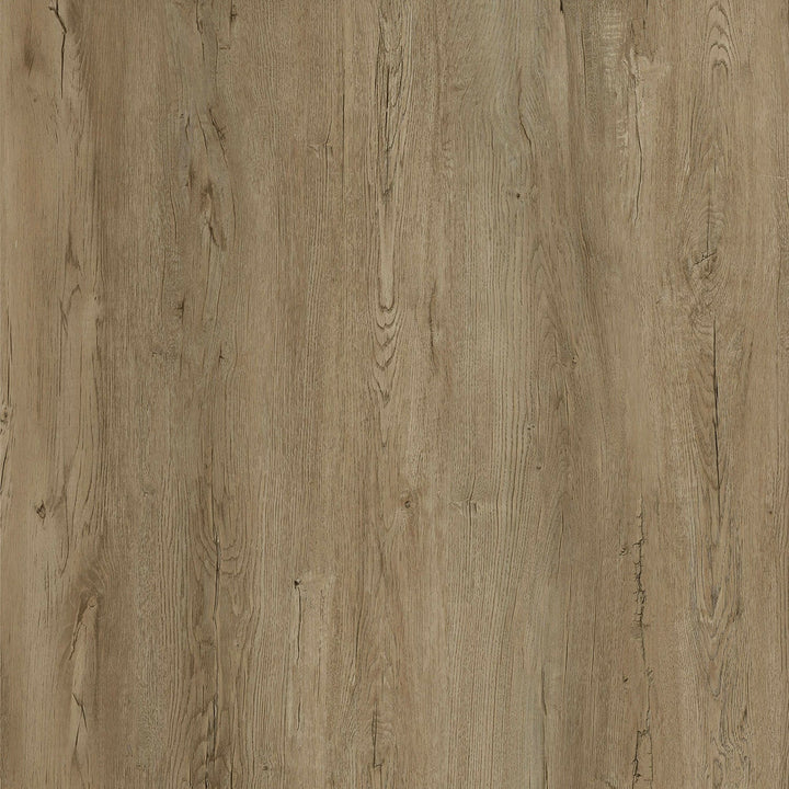 Lucida USA Gluecore Lava Gray 22-mil x 7-3/32-in W x 48-in L Waterproof Glue Down Luxury Vinyl Plank Flooring (40-sq ft/ Carton)