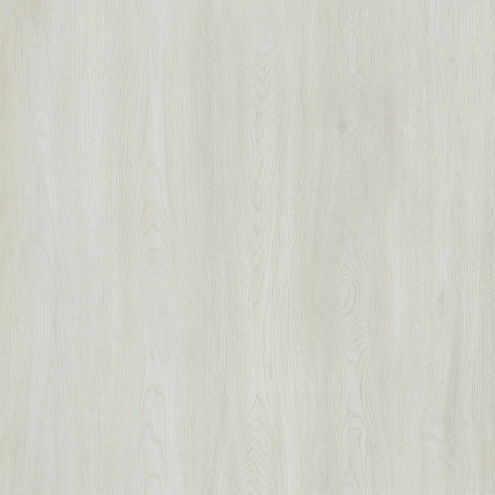 Lucida USA (Sample) Gluecore Whitewood White Wood Look 22-mil Glue Down Luxury Vinyl Plank