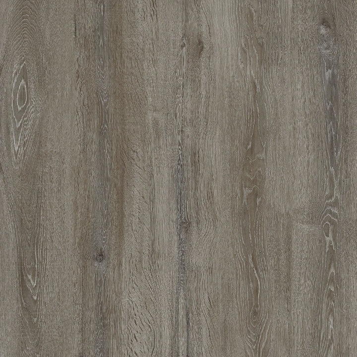 Lucida USA (Sample) Gluecore Thunder Sky Gray Wood Look 22-mil Glue Down Luxury Vinyl Plank