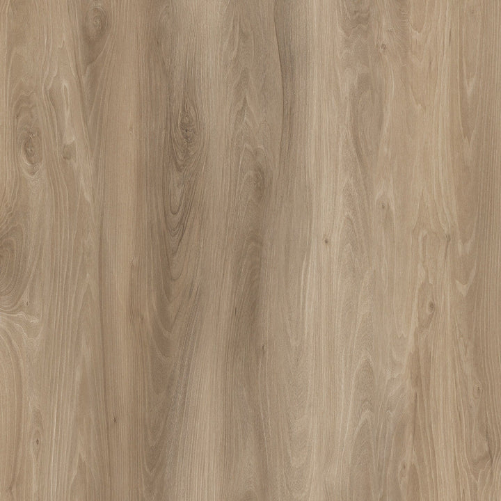 Lucida USA (Sample) BaseCore Honey Brown Wood Look 12-mil Peel and Stick Luxury Vinyl Plank