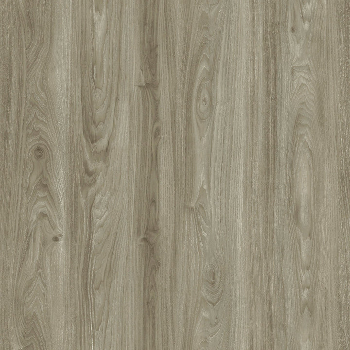 Lucida USA (Sample) PresCore Toasted Gray Wood Look 12-mil Water Resistant Glue Down Vinyl Tile
