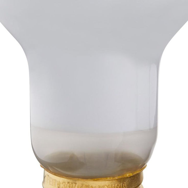 Feit Electric 45-Watt Soft White (2700K) R20 Dimmable Incandescent Flood Light Bulb Maintenance Pack (12-Pack)