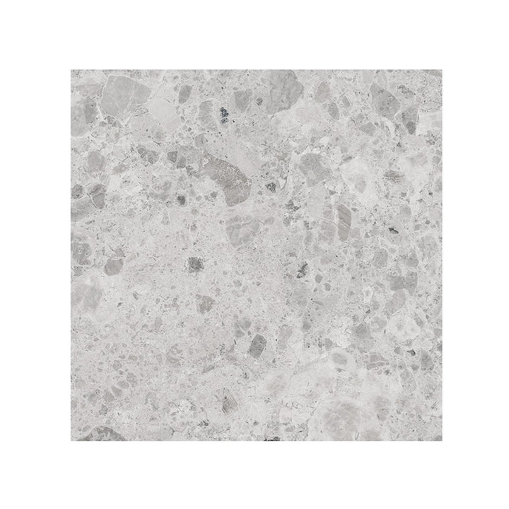 Giorbello (Sample) Ambience Terrazzo Silver 24-in x 24-in Matte Porcelain Stone Look Floor and Wall Tile
