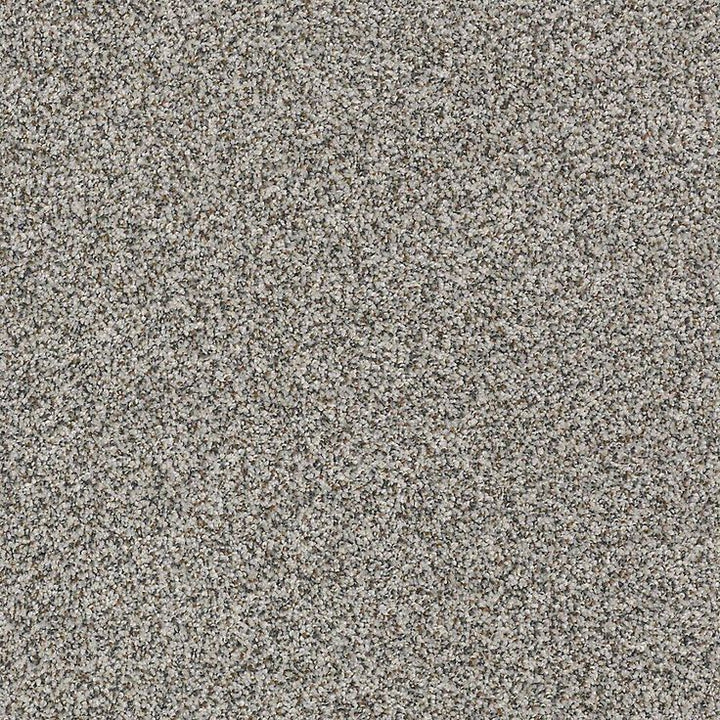 STAINMASTER PetProtect Mineral Bay II 12-ft Harbor Mist Textured Carpet Sample (Interior)