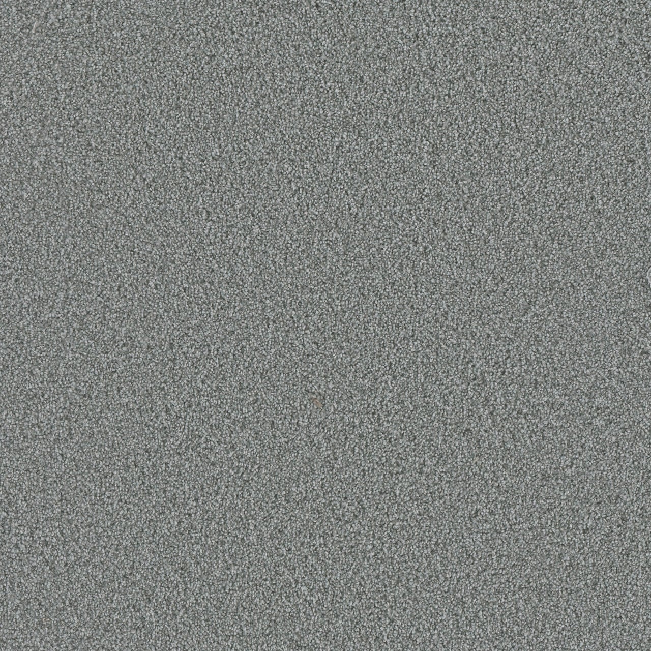 Raging Rapids I Eddy Gray 37-oz sq yard Solution-dyed polyester Textured Indoor Carpet