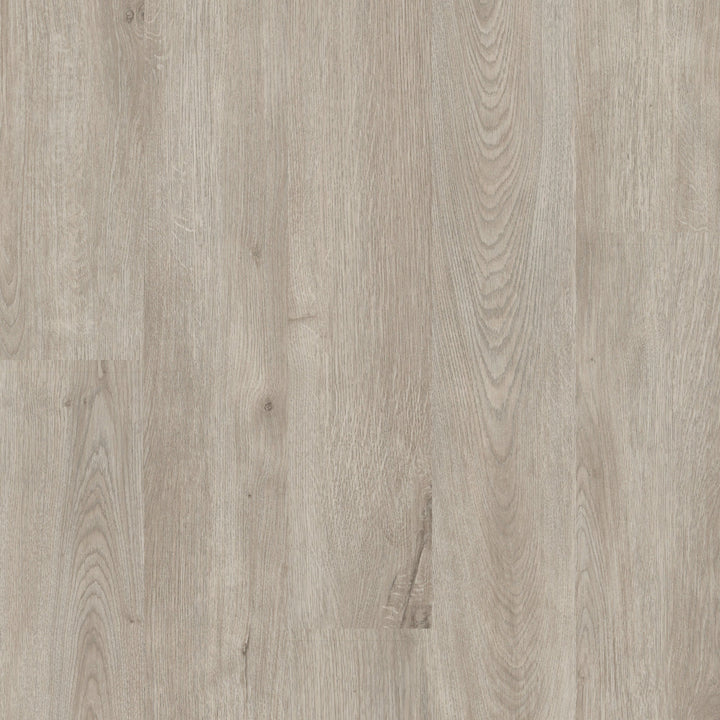 Shaw Perennial Brussels Brown 6-mil x 6-in W x 48-in L Waterproof Glue Down Luxury Vinyl Plank Flooring (53.93-sq ft/ Carton)