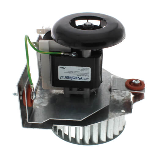 Packard 66752 inducer motor - side view (Type: Shaded Pole; Voltage: 115V)