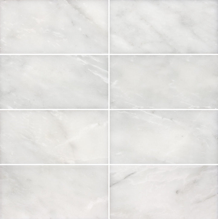 Satori Venatino 3-in x 6-in Polished Natural Stone Subway Wall Tile (0.96-sq. ft/ Carton)