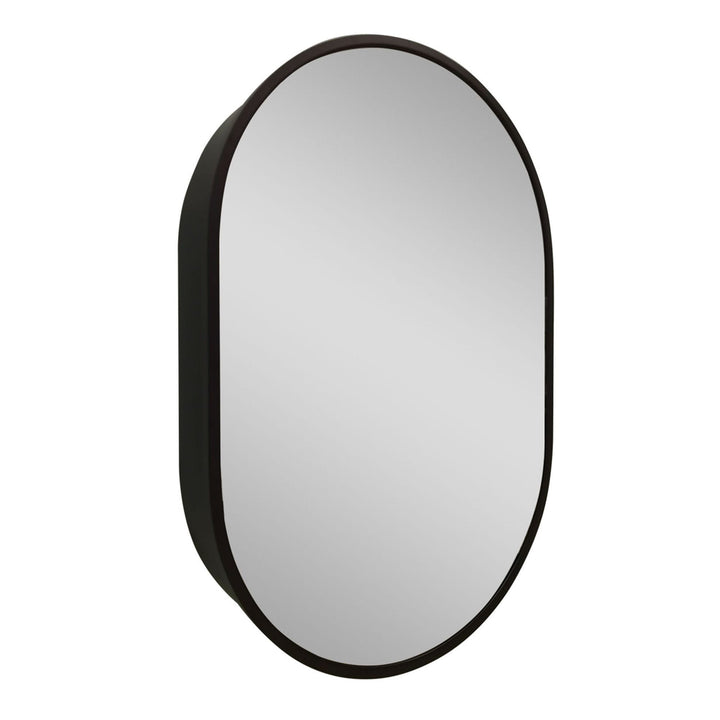 WELLFOR 24-in x 36-in Surface Mount Black Mirrored Oval Medicine Cabinet