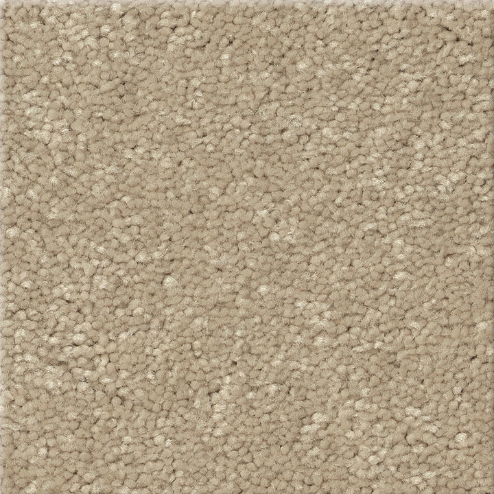 STAINMASTER Essentials Blue Diamonds III 12-ft Raw Lumber Textured Indoor Carpet, 73.1-oz Polyester