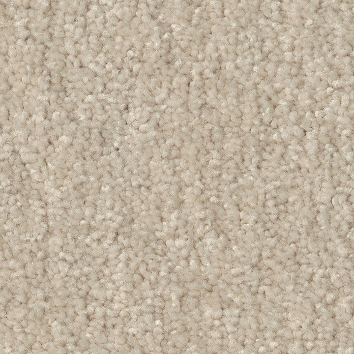 STAINMASTER Essentials Blue Diamonds II 12-ft Bleached Textured Indoor Carpet