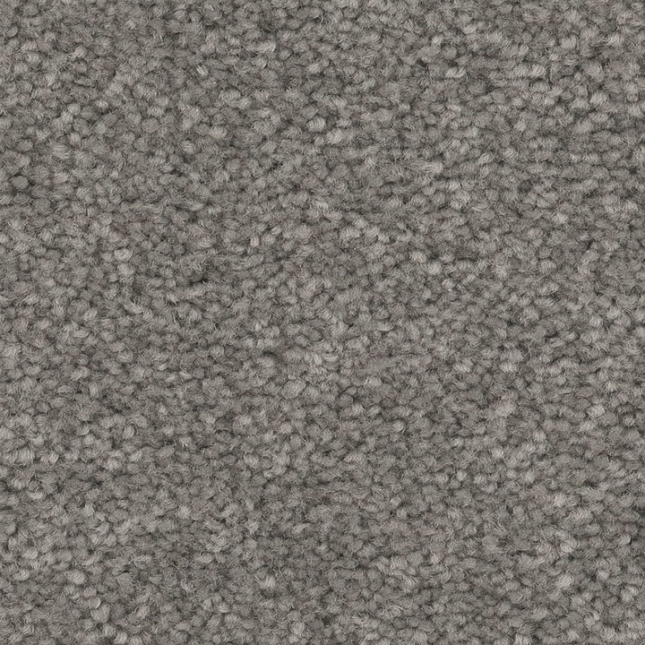 STAINMASTER Essentials Blue Diamonds II 12-ft Concrete Textured Indoor Carpet