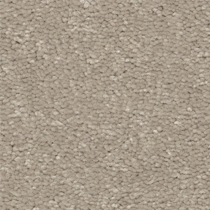 STAINMASTER Essentials Blue Diamonds III 15-ft Greige Textured Carpet (Indoor)
