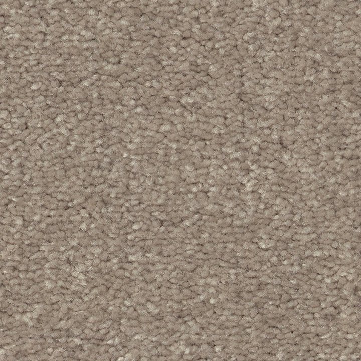 STAINMASTER Essentials Blue Diamonds II Natural Contour 8-in x 8-in Textured Carpet Sample, 63.4-oz Face Weight (Interior)