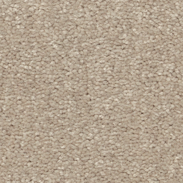 STAINMASTER Essentials Blue Diamonds III 12-ft Dreamy Textured Carpet Sample (Interior)