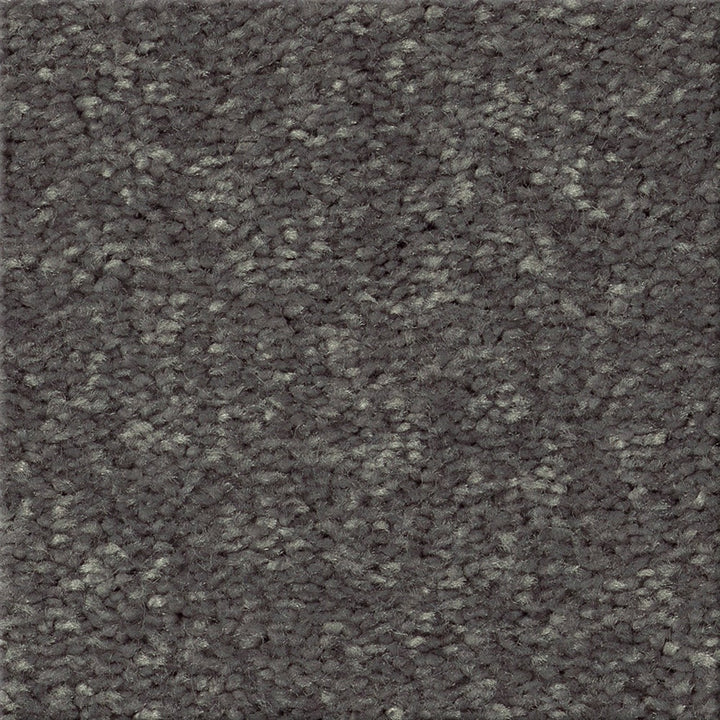 STAINMASTER Essentials Blue Diamonds II 12-ft Iron Textured Indoor Carpet