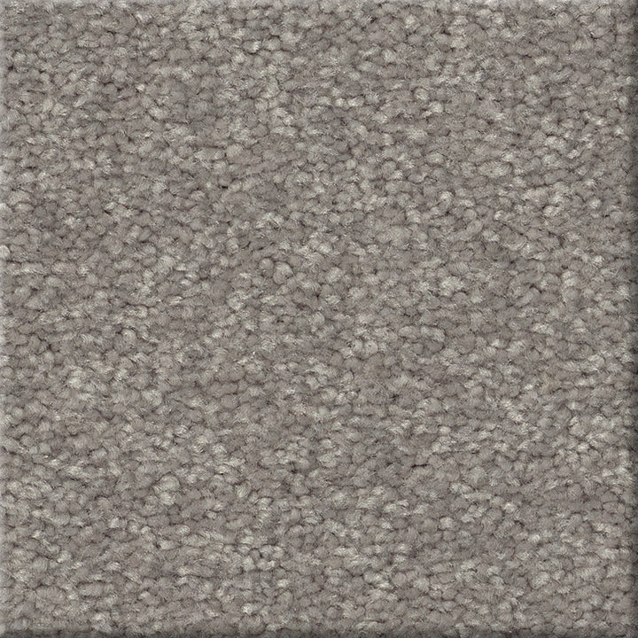 STAINMASTER Essentials Blue Diamonds III 12-ft Dusty Trail Textured Carpet Sample (Interior)