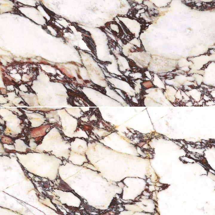 The Tile Life Cala Rosso Viola 24-in x 48-in Glossy Porcelain Marble look Floor and Wall Tile product image