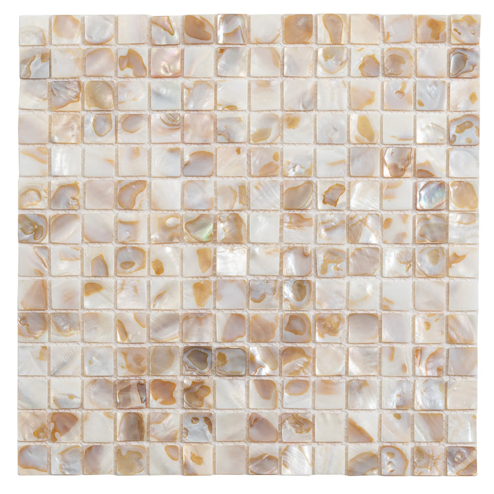 Apollo Tile Jewelicious Bright Beige Natural Shell 12-in x 12-in Polished Natural shell Patterned Mosaic Wall Tile product image