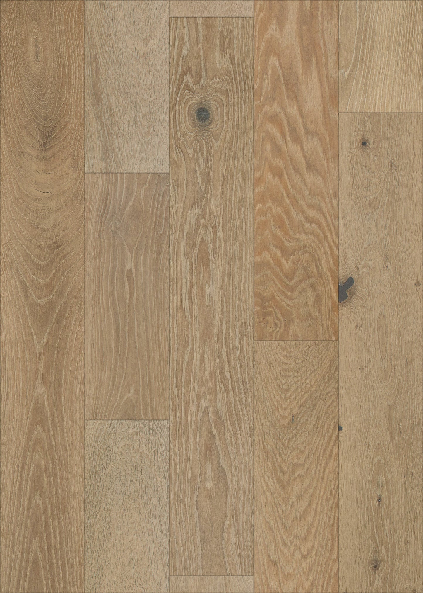 Shaw White oak Belmont Gardens hardwood flooring — lifestyle view