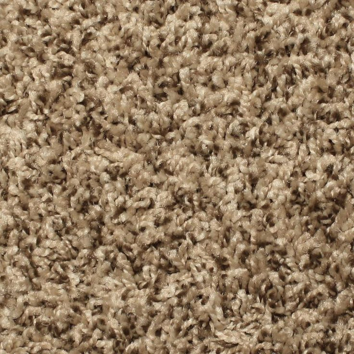 STAINMASTER Essentials Palmer Twin Peak Textured Carpet Sample (Interior)