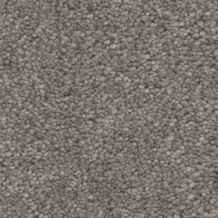 STAINMASTER Essentials Blue Diamonds I 15-ft Concrete Textured Carpet (Indoor)