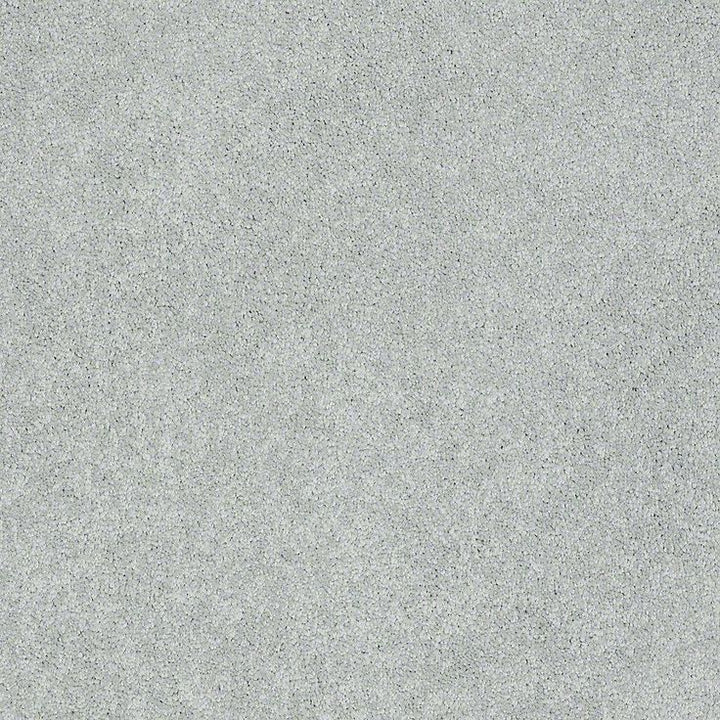 STAINMASTER PetProtect Baxter I Retriever Textured Carpet (Indoor)