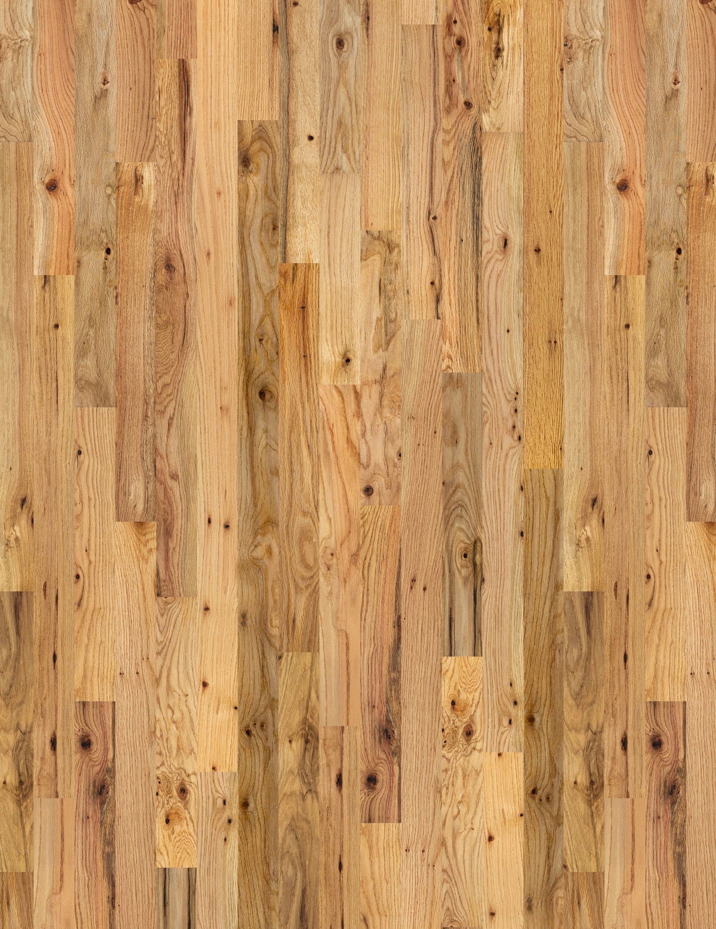 allen + roth Red oak Character Natural hardwood flooring — primary plank view