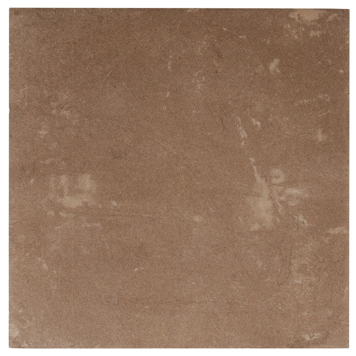 Apollo Tile Palmera Terracotta Brown 9-in x 9-in Multi-finish Porcelain Floor and Wall Tile product image