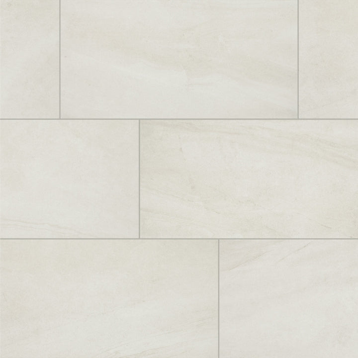 Daltile Wanderwise Swan 12-in x 24-in Matte Porcelain Floor and Wall Tile product image