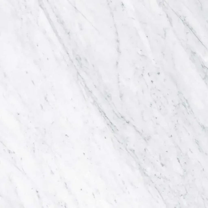 Apollo Tile Regalia White 24-in x 24-in Matte Porcelain Encaustic Floor and Wall Tile product image