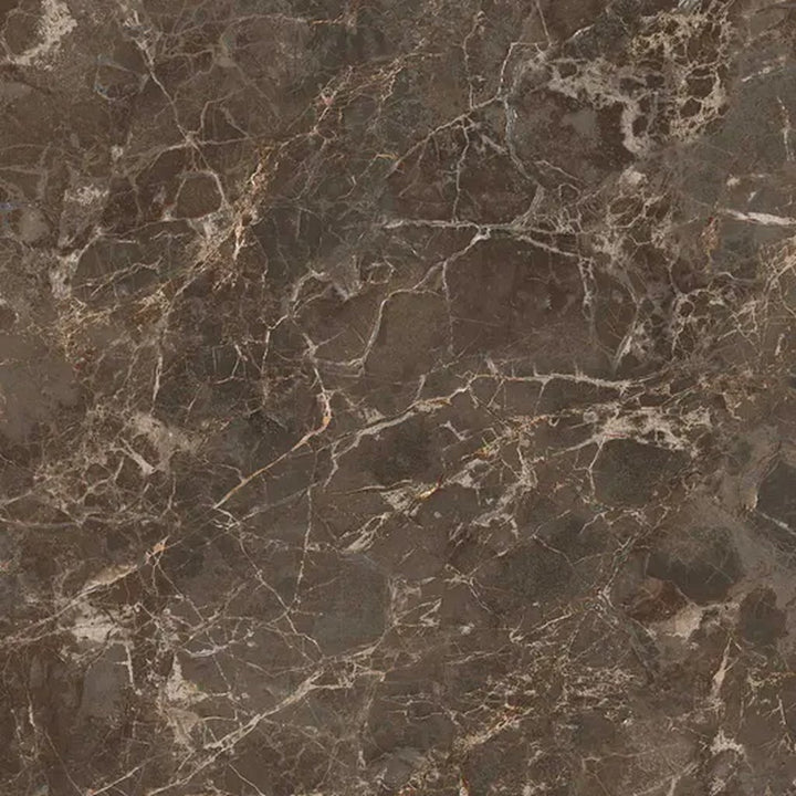 Apollo Tile Regalia Bruno Brown 24-in x 24-in Matte Porcelain Encaustic Floor and Wall Tile product image